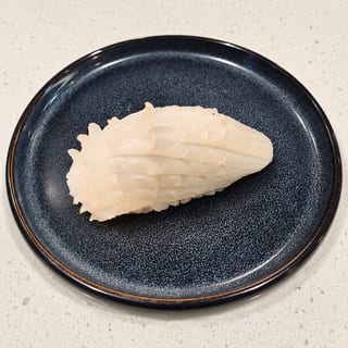 Squid