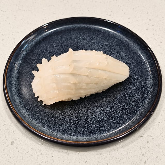 Squid.